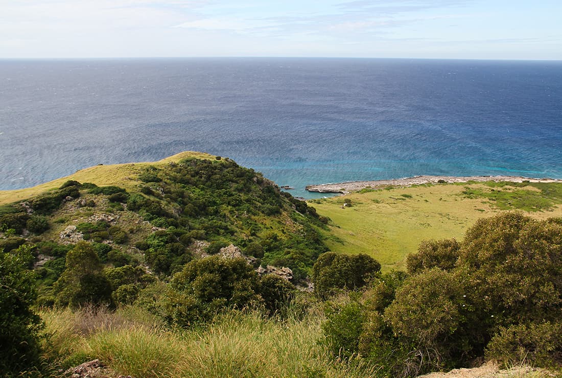 Next Eight Island-Ocean Ecosystems Confirmed for Global Ridge-to-Reef Rewilding Initiative 