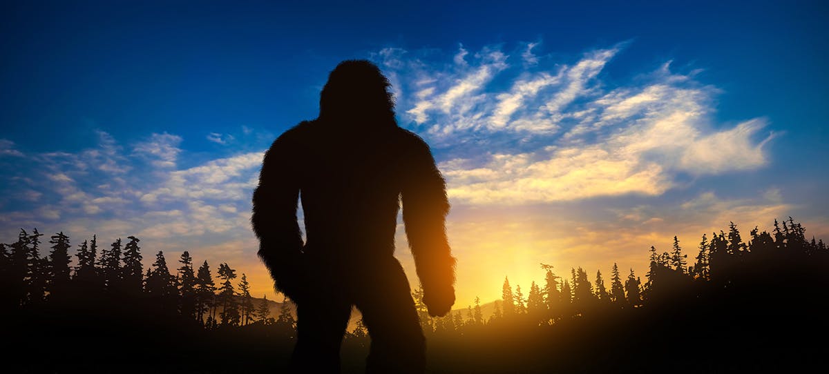 Yeti and Bigfoot: Are they real?