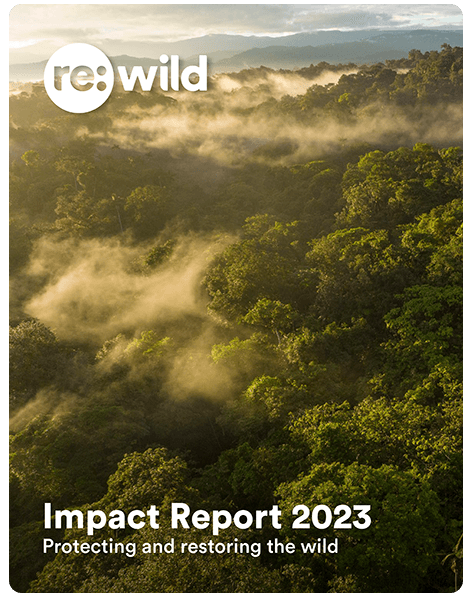 Download a copy of our 2023 impact report. 