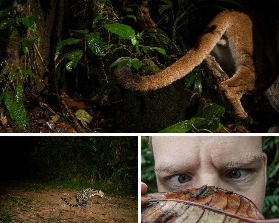 Failed Wildlife Photography Contest To Honor The Best Of The Worst