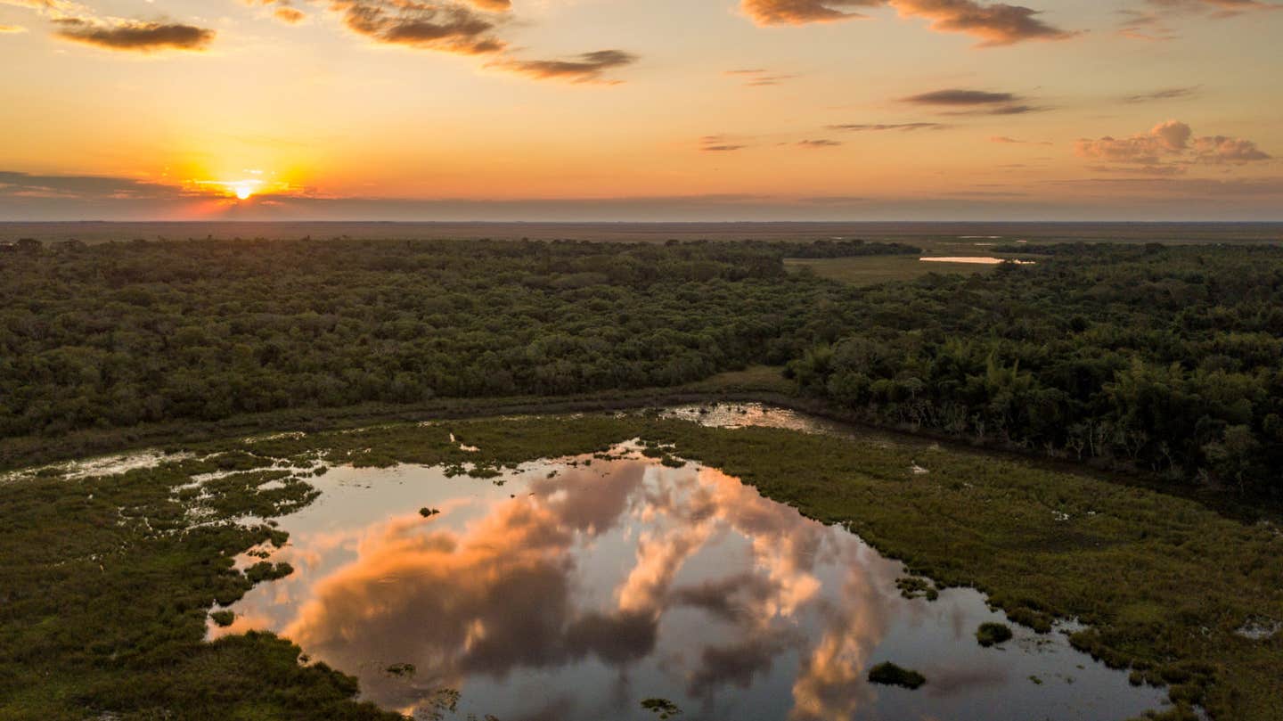 Ibera National Park