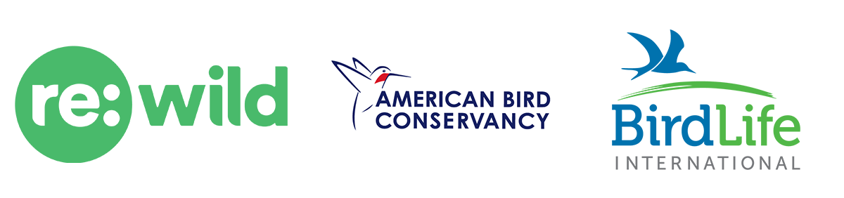 Rewild ABC BirdLife copy
