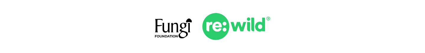 fungifoundationxrewild