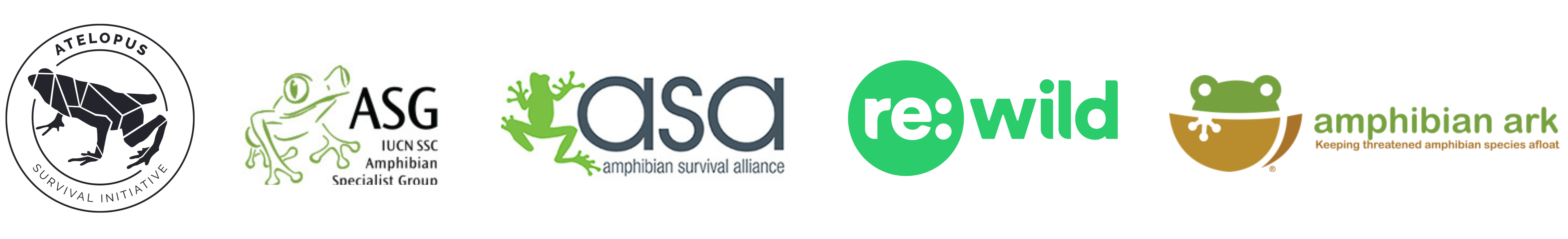 Intag press release logos