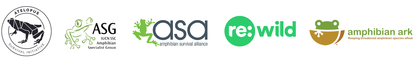 Intag press release logos