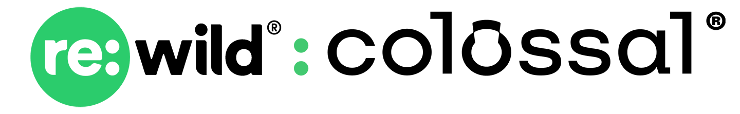 rewildxcolossallogo pressrelease