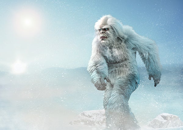 Yeti - shutterstock 1836261643